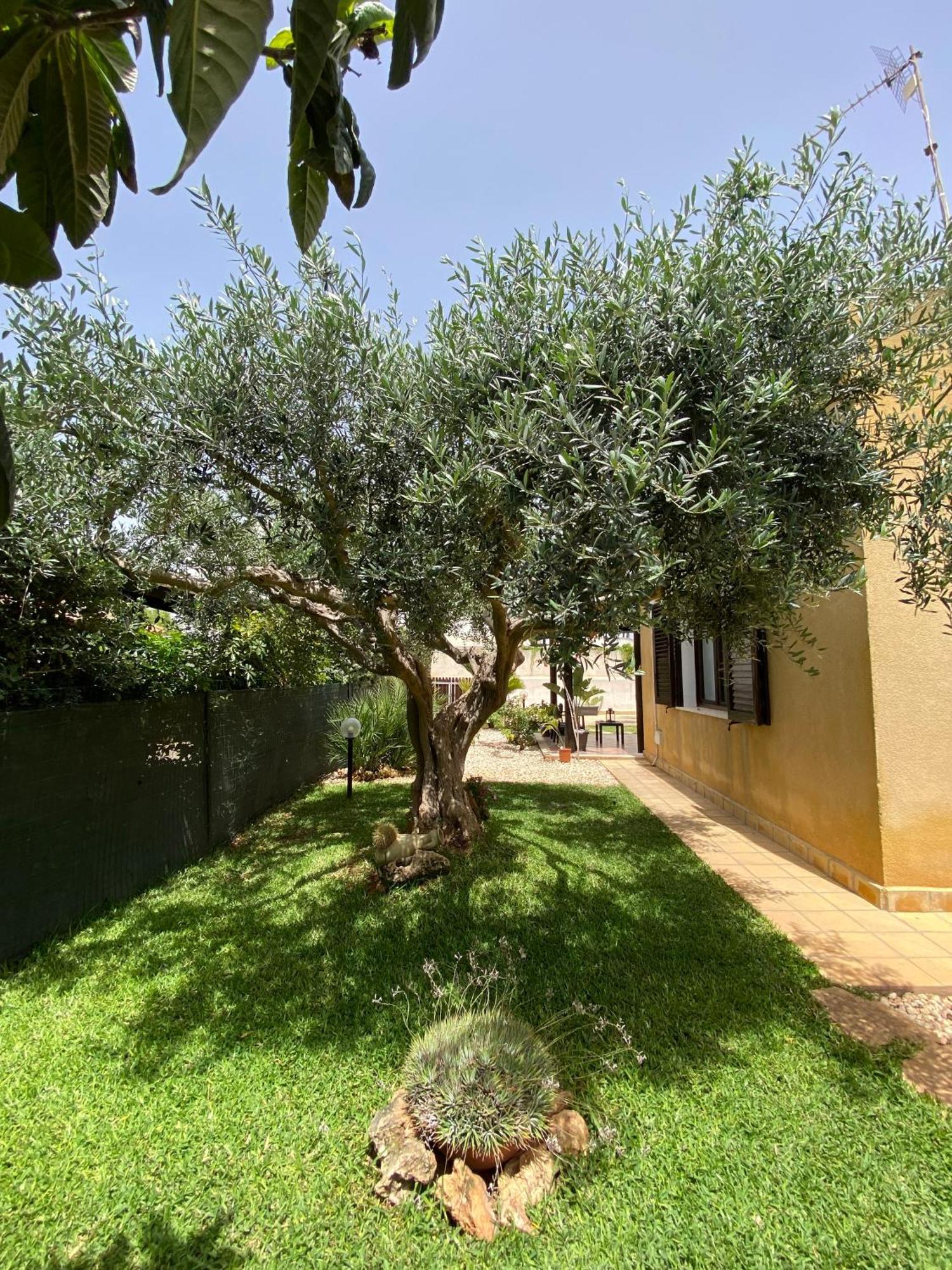 Villa Barbera มาร์ซาลา ภายนอก รูปภาพ