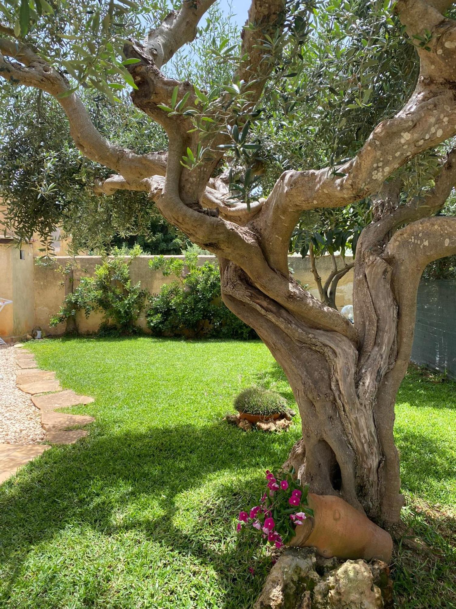 Villa Barbera มาร์ซาลา ภายนอก รูปภาพ